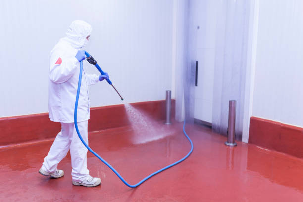 Best Graffiti Removal  in Victoria, MN